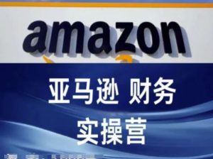 亚马逊财务核算实操营-亚马逊跨境电商教程-庄子聊项目