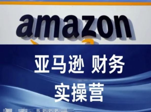 亚马逊财务核算实操营-亚马逊跨境电商教程-庄子聊项目