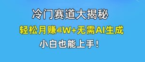 冷门赛道大揭秘，轻松月赚1W+无需AI生成，小白也能上手【揭秘】-庄子聊项目
