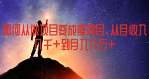 如何从做项目变成卖项目,从月收入几千到月入几万【揭秘】-庄子聊项目
