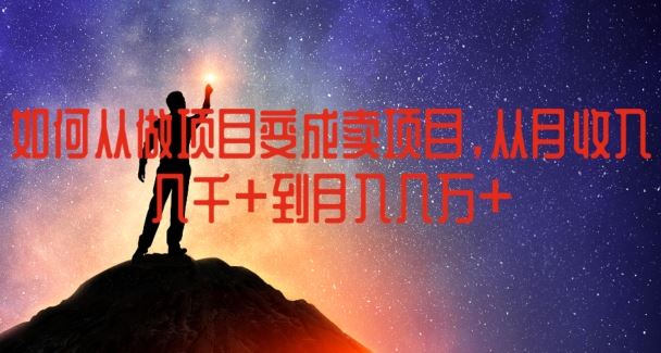如何从做项目变成卖项目，从月收入几千到月入几万【揭秘】-庄子聊项目