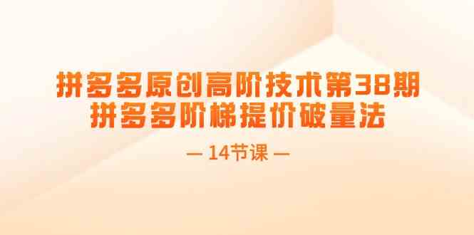 拼多多原创高阶技术第38期，拼多多阶梯提价破量法（14节课）-庄子聊项目