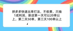 （11681期）拼多多2天起店，只合作不卖课不收费，上架产品无偿对接，只需要你回…-庄子聊项目