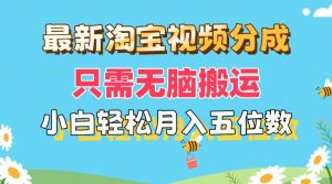 (11744期)最新淘宝视频分成,只需无脑搬运,小白也能轻松月入五位数,可矩阵批量…-庄子聊项目