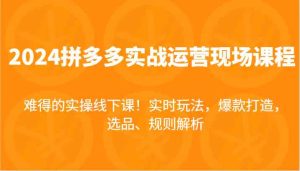 2024拼多多实战运营现场课,实时玩法,爆款打造,选品、规则解析,难得的实操线下课!-庄子聊项目
