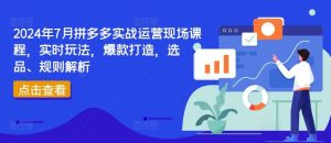 2024年7月拼多多实战运营现场课程，实时玩法，爆款打造，选品、规则解析-庄子聊项目