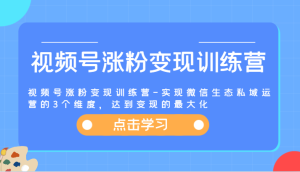 视频号涨粉变现训练营-实现微信生态私域运营的3个维度,达到变现的最大化-庄子聊项目