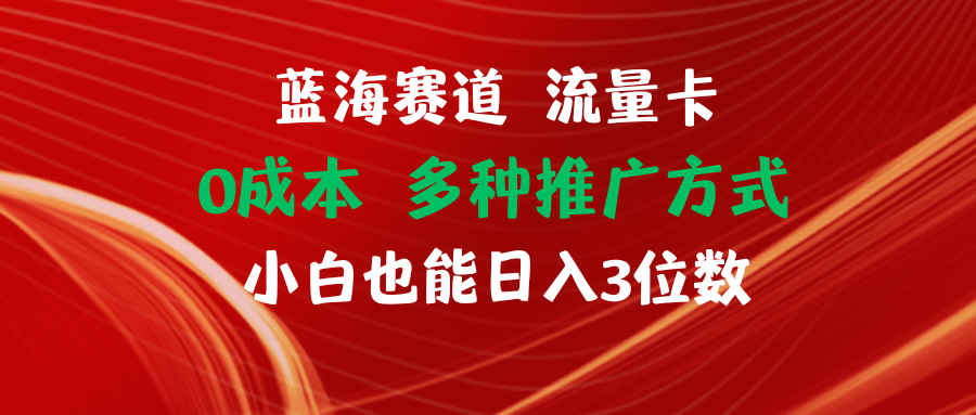 （11768期）蓝海赛道 流量卡 0成本 小白也能日入三位数-庄子聊项目