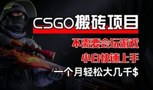 CSGO 装备搬砖项目，操作简单，不需要会玩游戏，小白也能快速上手，一个月轻松大几千【揭秘】-庄子聊项目