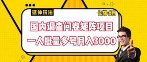 国内调查问卷矩阵项目,一人批量多号月入3000【揭秘】-庄子聊项目