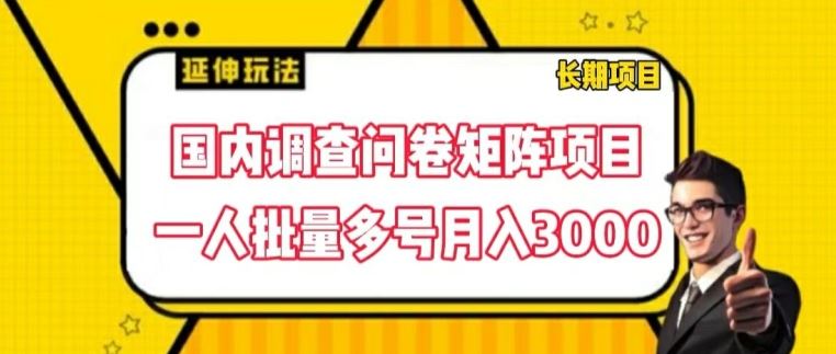 国内调查问卷矩阵项目，一人批量多号月入3000【揭秘】-庄子聊项目