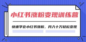 2024小红书19天涨粉变现特训营,快速学会小红书涨粉,月入十万轻松变现(42节)-庄子聊项目