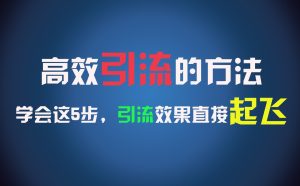 高效引流的方法，可以帮助你日引300+创业粉，一年轻松收入30万，比打工强太多！-庄子聊项目
