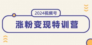 (11779期)2024视频号-涨粉变现特训营:一站式打造稳定视频号涨粉变现模式(10节)-庄子聊项目