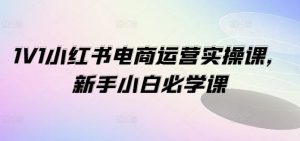 1V1小红书电商运营实操课,新手小白必学课-庄子聊项目