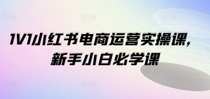 1V1小红书电商运营实操课，新手小白必学课-庄子聊项目