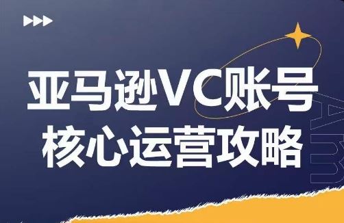 亚马逊VC账号核心玩法解析，实战经验拆解产品模块运营技巧，提升店铺GMV，有效提升运营利润-庄子聊项目