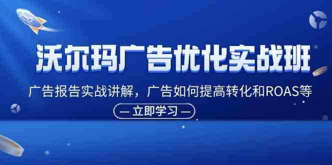 沃尔玛广告优化实战班，广告报告实战讲解，广告如何提高转化和ROAS等-庄子聊项目