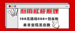(11859期)利用杠杆100元撬动500+创业粉,单日变现5位数-庄子聊项目