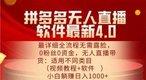 (11891期)拼多多无人直播软件最新4.0,最详细全流程无需露脸,0粉丝0资金, 小白…-庄子聊项目