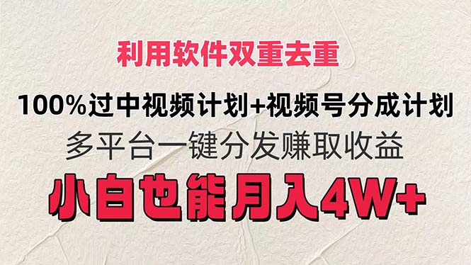 （11862期）利用软件双重去重，100%过中视频+视频号分成计划小白也可以月入4W+-庄子聊项目