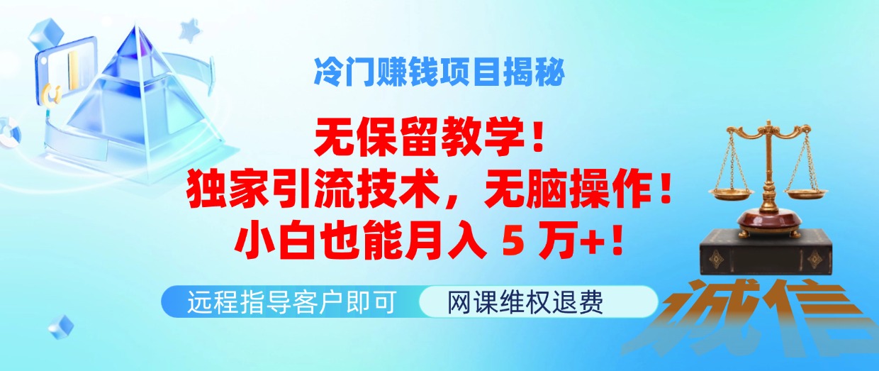 （11864期）冷门赚钱项目无保留教学！独家引流技术，无脑操作！小白也能月入5万+！-庄子聊项目