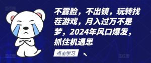 不露脸，不出镜，玩转找茬游戏，月入过万不是梦，2024年风口爆发，抓住机遇【揭秘】-庄子聊项目
