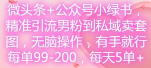 微头条+公众号小绿书,精准引流男粉到私域卖套图,无脑操作,有手就行,每单99-200,每天5单-庄子聊项目