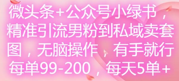 微头条+公众号小绿书，精准引流男粉到私域卖套图，无脑操作，有手就行，每单99-200，每天5单-庄子聊项目