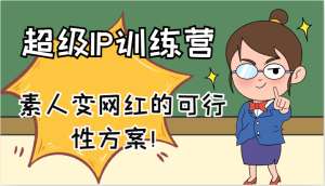 超级IP训练营-IP大课,素人变网红的可行性方案!(61节)-庄子聊项目