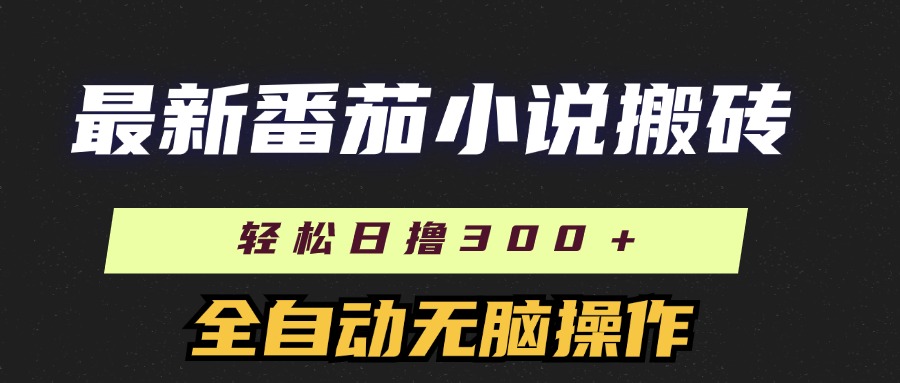 （11904期）最新番茄小说搬砖，日撸300＋！全自动操作，可矩阵放大-庄子聊项目