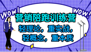 营销陪跑训练营,轻理论,重实战,轻概念,重本质,适合中小企业和初创企业的老板-庄子聊项目