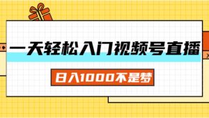 (11906期)一天入门视频号直播带货,日入1000不是梦-庄子聊项目