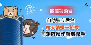 (11910期)微信视频号自助独立后台每天躺赚三位数可矩阵操作解放双手-庄子聊项目