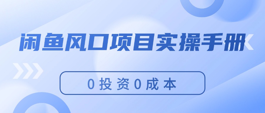 （11923期）闲鱼风口项目实操手册，0投资0成本，让你做到，月入过万，新手可做-庄子聊项目