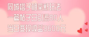 同城搭子相亲新玩法一篇帖子引流80人当日变现3600元(项目教程+实操教程)【揭秘】-庄子聊项目