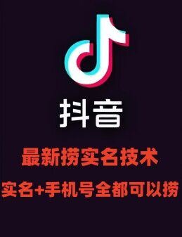 最新技术抖音捞实名+捞手机号技术，抖音直播封禁释放十名/手机号，直接替换出来!-庄子聊项目