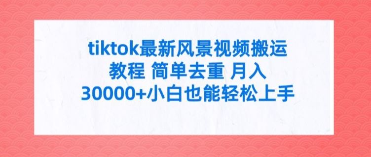 tiktok最新风景视频搬运教程 简单去重 月入3W+小白也能轻松上手【揭秘】-庄子聊项目