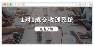 (11936期)1对1成交 收钱系统,十年专注于引流和成交,全网130万+粉丝-庄子聊项目