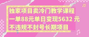 独家项目卖冷门教学课程一单88元单日变现5632元违规不封号长期项目【揭秘】-庄子聊项目