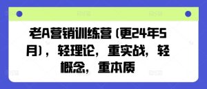 老A营销训练营(更24年7月),轻理论,重实战,轻概念,重本质-庄子聊项目