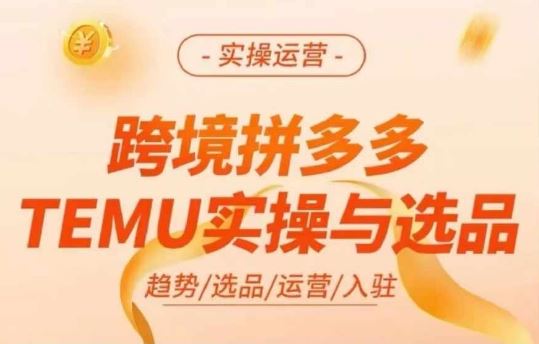 跨境拼多多TEMU实操与选品，多多temu跨境选品运营实操-庄子聊项目