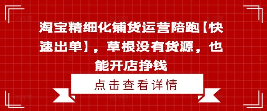 淘宝精细化铺货运营陪跑【快速出单】，草根没有货源，也能开店挣钱-庄子聊项目