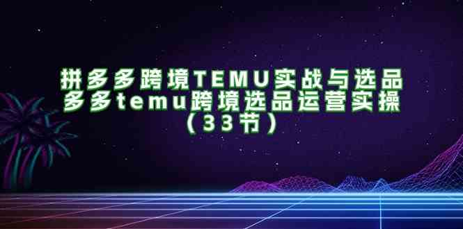 拼多多跨境TEMU实战与选品，多多temu跨境选品运营实操（33节）-庄子聊项目