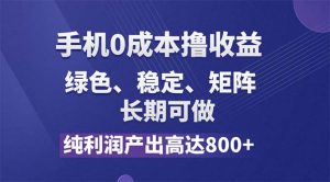 (11976期)纯利润高达800+,手机0成本撸羊毛,项目纯绿色,可稳定长期操作!-庄子聊项目