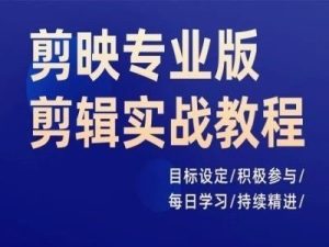 剪映专业版剪辑实战教程,目标设定/积极参与/每日学习/持续精进-庄子聊项目