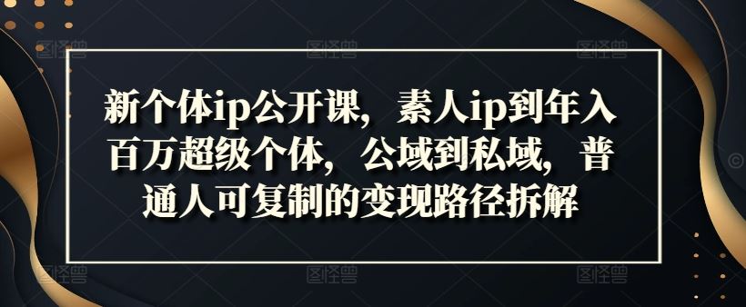 新个体ip公开课，素人ip到年入百万超级个体，公域到私域，普通人可复制的变现路径拆解-庄子聊项目
