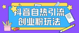 抖音引流创业粉自热玩法日引200+精准粉-庄子聊项目