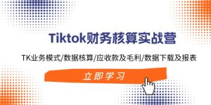 （11978期）Tiktok财务核算实战营：TK业务模式/数据核算/应收款及毛利/数据下载及报表-庄子聊项目
