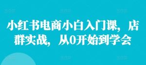 小红书电商小白入门课,店群实战,从0开始到学会-庄子聊项目